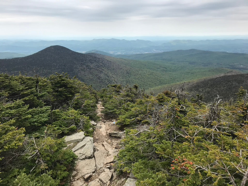 Menstrual Blood and Bears: Separating the Myth from the Facts – YourYuckies, image size:1024x768